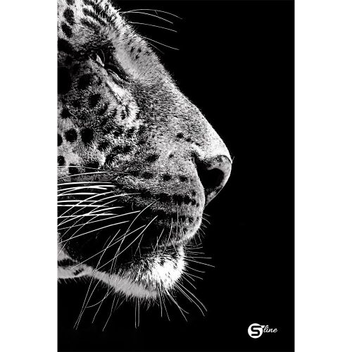 111492-72033 termékkép