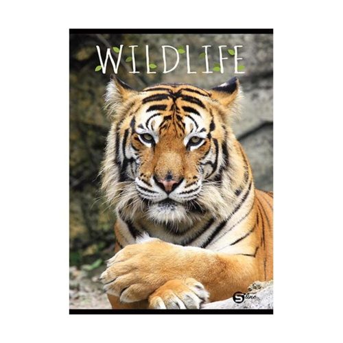 113797-72114 termékkép