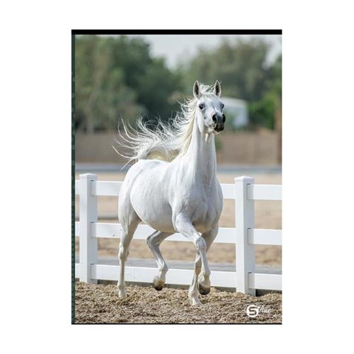 113798-72120 termékkép