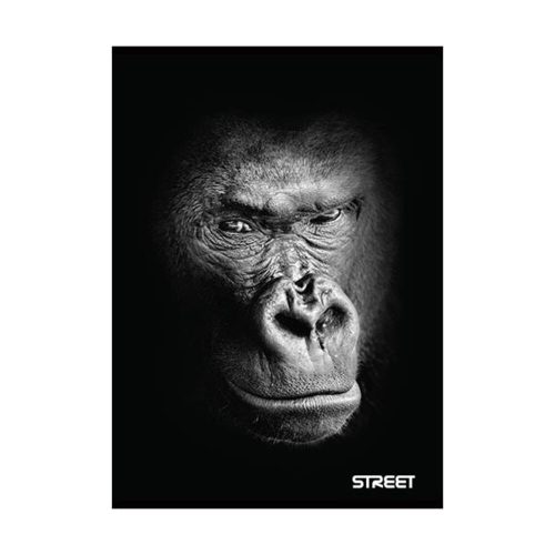 114128-72059 termékkép