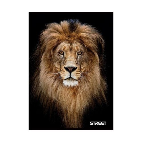 114128-72059 termékkép