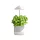 LED növénynevelő lámpa LED VERDI 5W 3200K Kobi Design, 3200K, 220lm, CRI≥80, 5V, KOBI-001457