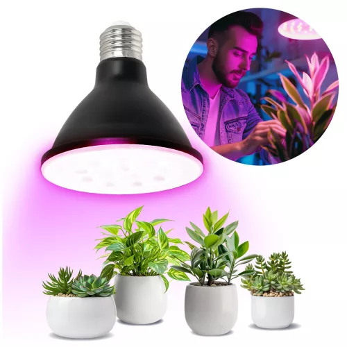144491-KOBI-001505 termékkép