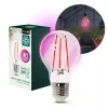 Növénytermesztő LED izzó LED PLANTY FGS 8W E27 1200K – Kobi Design, lila fényű, 250lm, KOBI-001512