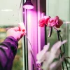 145218-KOBI-004013 termékkép