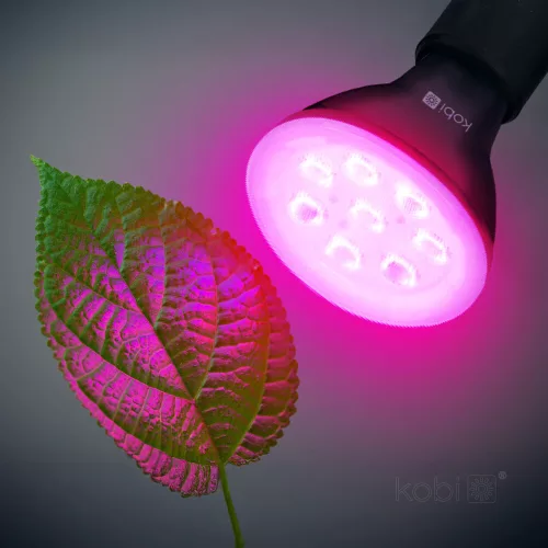 145218-KOBI-004013 termékkép