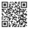 53311-1381 - alt 2