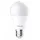 LED lámpa , égő , körte , E27 foglalat , 8.5 Watt , 180° , hideg fehér , TOSHIBA , 5 év garancia