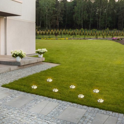 66649-77001 termékkép