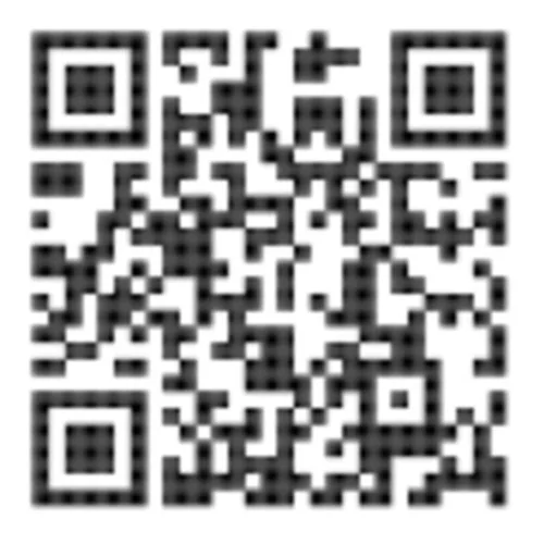 76180-79039 - alt 1