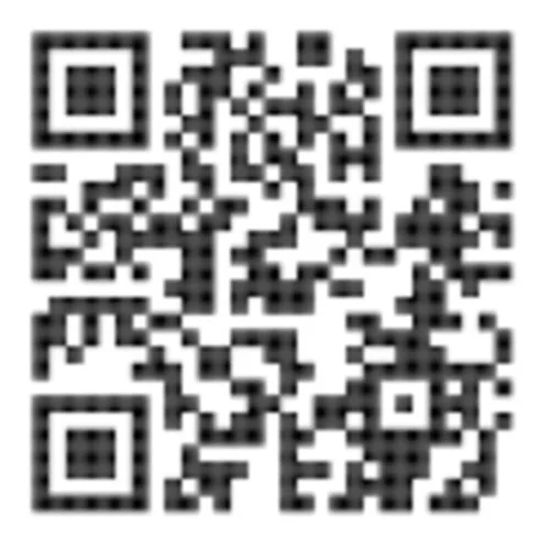 76222-79081 - alt 3