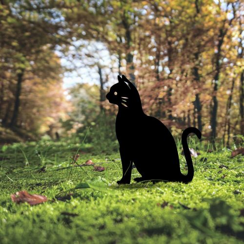 79789-565TNL1276 - alt 1