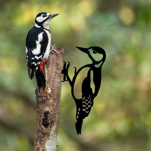 79793-565TNL1299 - alt 1