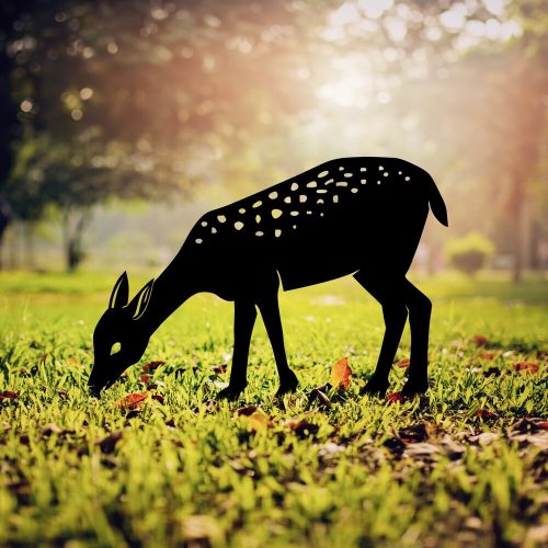 79808-565TNL1279 - alt 1