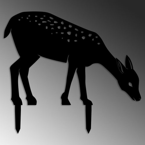 79808-565TNL1279 - alt 4