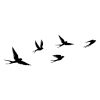 79942-279ENZ2593 - alt 5