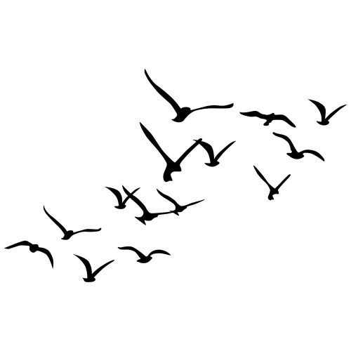 79946-279ENZ2590 - alt 5