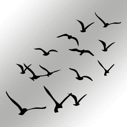 79946-279ENZ2590 - alt 6