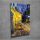 Vincent van Gogh Cafe Terrace Canvas Art, 30x40 cm