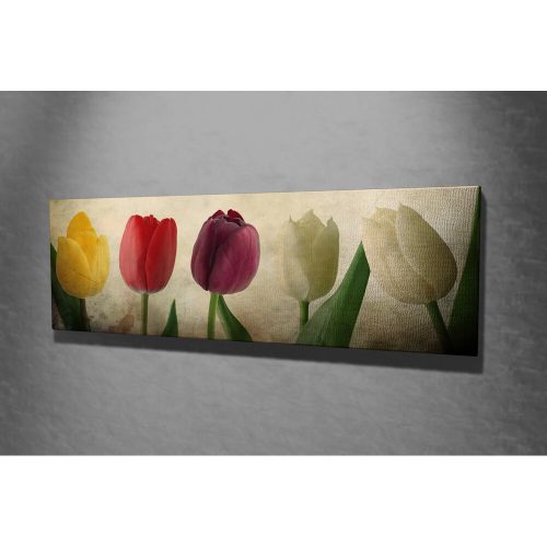 Elegáns vászonfestmény, 30 x 80 cm, 100% fa keret