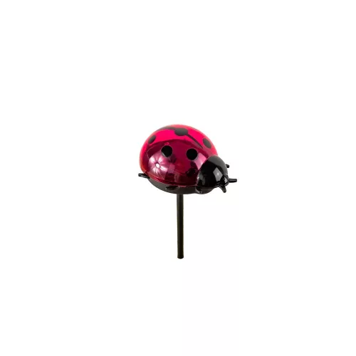 80680-ML-DS002 termékkép