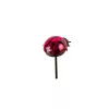80680-ML-DS002 termékkép