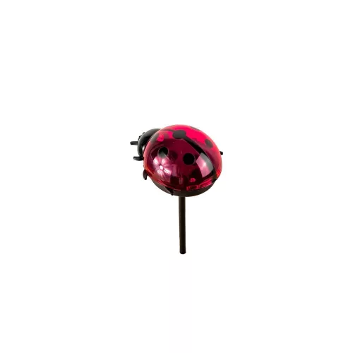 80680-ML-DS002 termékkép