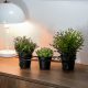 Stílusos Black Metal Jardiniere, 30 x 12,5 x 11 cm | 100% tartós fém | Tökéletes beltéri növényekhez és lakberendezéshez | Elegáns és modern dizájn