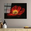 Lenyűgöző edzett üvegfestmény - Virágzó piros pipacsvirág, 70 x 100 cm | 100% edzett üveg (4 mm) | Elegáns falfestmény otthoni és irodai dekorációhoz
