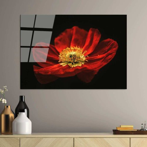 Lenyűgöző edzett üvegfestmény - Virágzó piros pipacsvirág, 70 x 100 cm | 100% edzett üveg (4 mm) | Elegáns falfestmény otthoni és irodai dekorációhoz