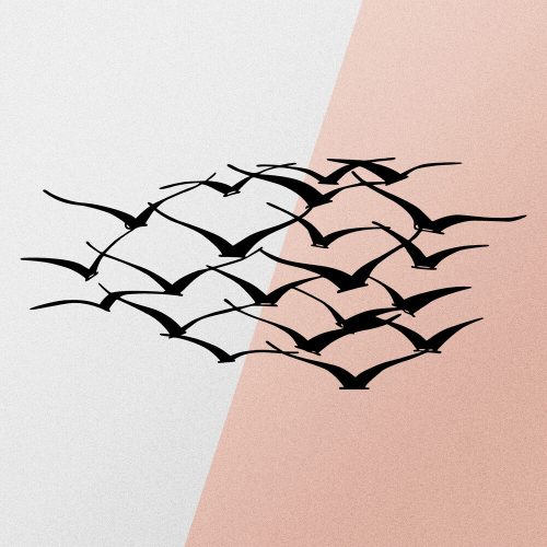 88304-279ENZ1167 - alt 4