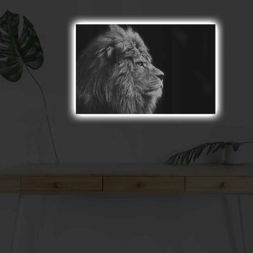 Dekoratív LED megvilágított vászonfestmény, 45 x 70 cm, 100% velúr vászon, fa keret (3 cm), elemes, be-/kikapcsolóval, tökéletes otthoni dekorációhoz