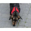 Nyomásmentes, állítható sétahámony fényvisszaverővel kutyáknak és macskáknak + póráz XL méretben